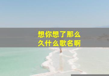 想你想了那么久什么歌名啊