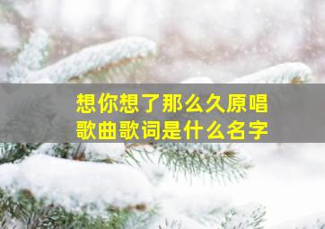 想你想了那么久原唱歌曲歌词是什么名字