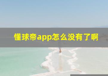 懂球帝app怎么没有了啊