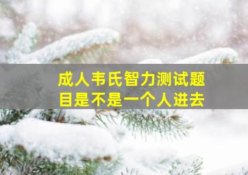 成人韦氏智力测试题目是不是一个人进去