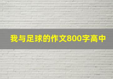 我与足球的作文800字高中