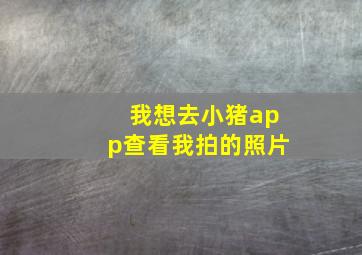 我想去小猪app查看我拍的照片