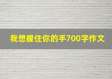 我想握住你的手700字作文