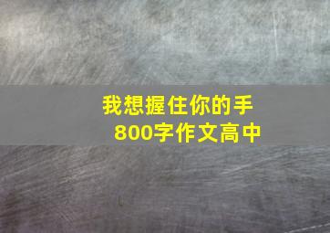 我想握住你的手800字作文高中