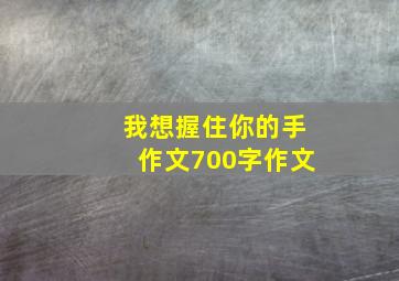 我想握住你的手作文700字作文