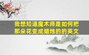 我想知道魔术师是如何把那朵花变成蜡烛的的英文