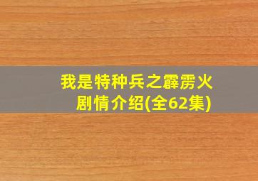 我是特种兵之霹雳火剧情介绍(全62集)