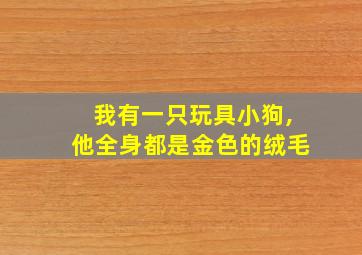 我有一只玩具小狗,他全身都是金色的绒毛