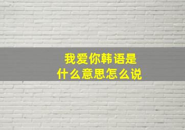 我爱你韩语是什么意思怎么说