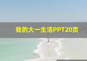 我的大一生活PPT20页