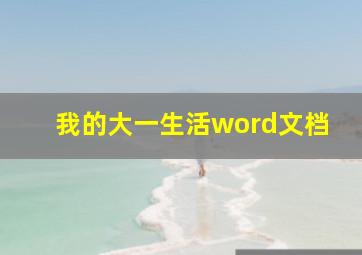 我的大一生活word文档