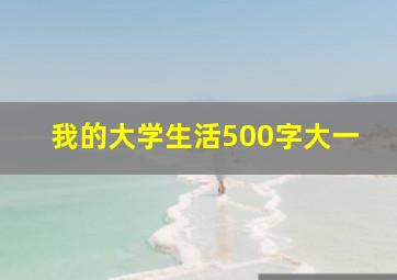 我的大学生活500字大一