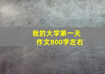 我的大学第一天作文800字左右