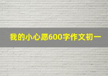 我的小心愿600字作文初一