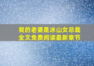 我的老婆是冰山女总裁全文免费阅读最新章节