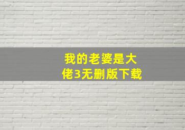 我的老婆是大佬3无删版下载