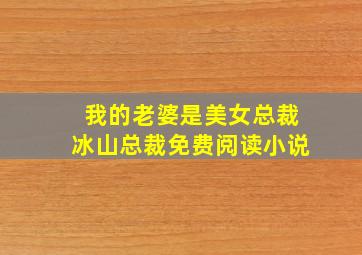 我的老婆是美女总裁冰山总裁免费阅读小说