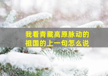 我看青藏高原脉动的祖国的上一句怎么说