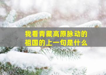 我看青藏高原脉动的祖国的上一句是什么