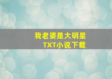 我老婆是大明星TXT小说下载