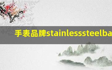 手表品牌stainlesssteelback