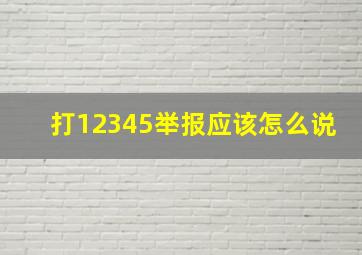 打12345举报应该怎么说