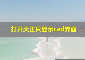 打开天正只显示cad界面