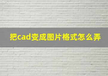 把cad变成图片格式怎么弄