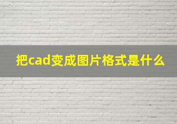 把cad变成图片格式是什么