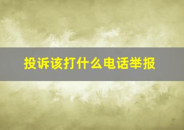 投诉该打什么电话举报