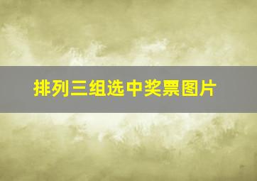 排列三组选中奖票图片