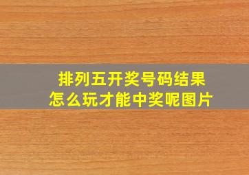 排列五开奖号码结果怎么玩才能中奖呢图片