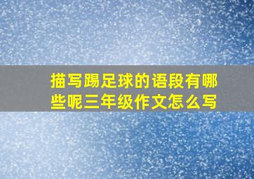 描写踢足球的语段有哪些呢三年级作文怎么写