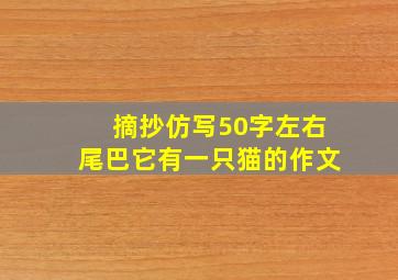 摘抄仿写50字左右尾巴它有一只猫的作文