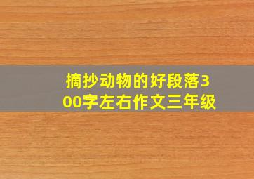 摘抄动物的好段落300字左右作文三年级