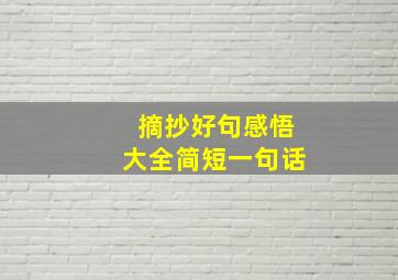 摘抄好句感悟大全简短一句话