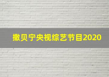 撒贝宁央视综艺节目2020