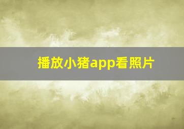 播放小猪app看照片