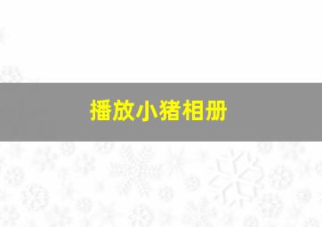 播放小猪相册