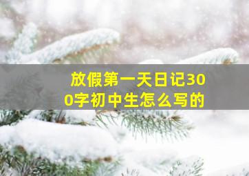 放假第一天日记300字初中生怎么写的