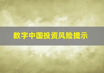 数字中国投资风险提示