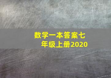 数学一本答案七年级上册2020