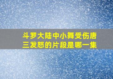 斗罗大陆中小舞受伤唐三发怒的片段是哪一集