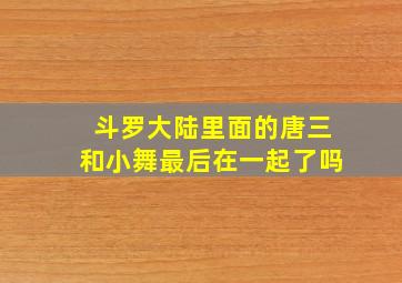 斗罗大陆里面的唐三和小舞最后在一起了吗