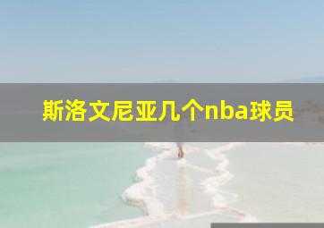 斯洛文尼亚几个nba球员