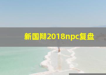 新国辩2018npc复盘