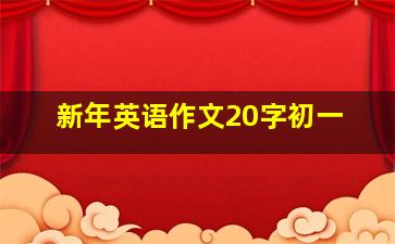 新年英语作文20字初一