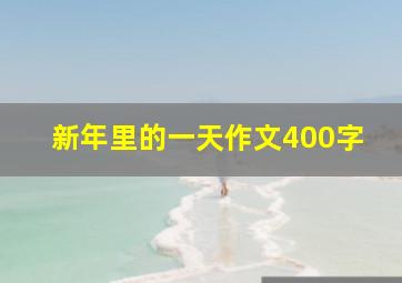 新年里的一天作文400字