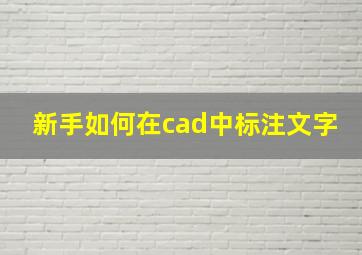 新手如何在cad中标注文字