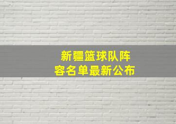 新疆篮球队阵容名单最新公布